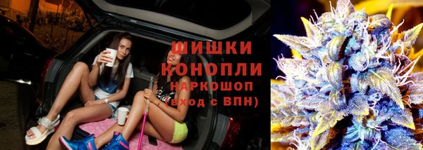 прущие крисы Мегион