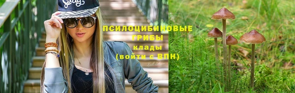 прущие крисы Мегион